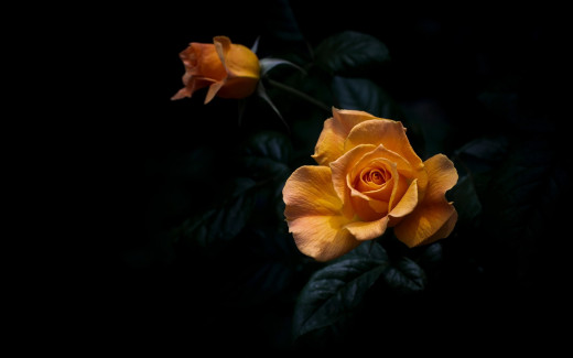 1744580 (a): :2560x1600
